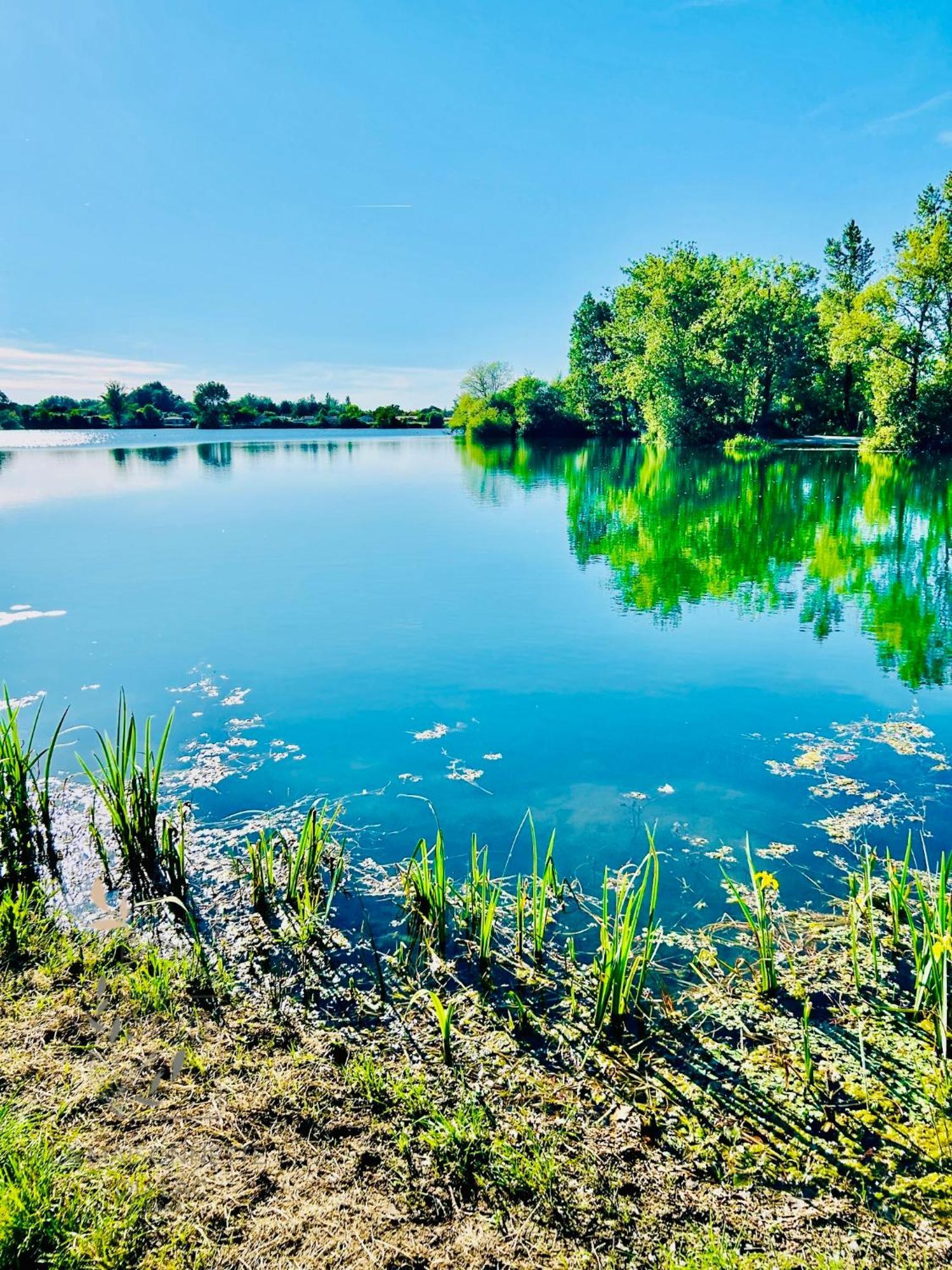 Maison Avec Acces Au Lac Izon Экстерьер фото